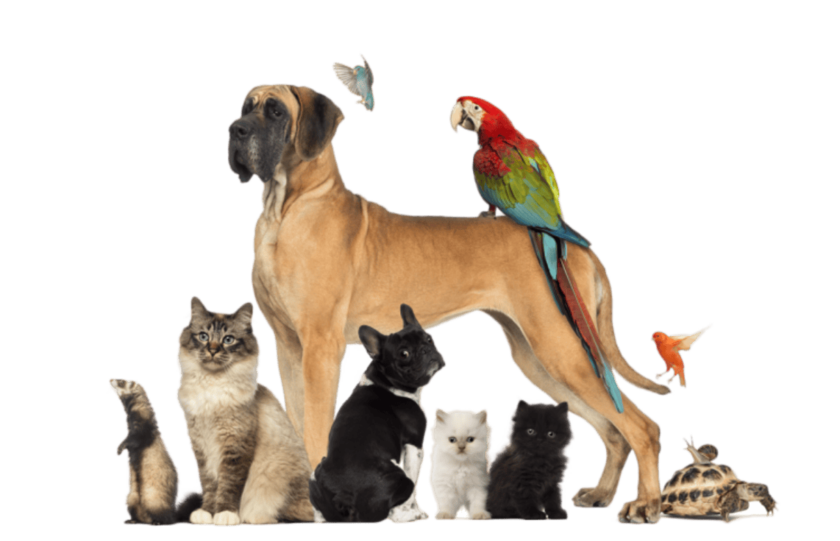 e56a53724c9af12c25dce94ddf54b47f29d287170ab6695f06a3264d2937afd1 (2)